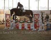 Dahila della Verdina TosTour2013- S5 3099 : Arezzo, Arezzo Equestrian Centre, Cavalli d'Italia, Dahila della Verdina, Toscana Tour 2013, foto di Stefano Secchi ©